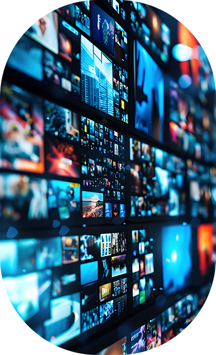 SP／Web／テレビ